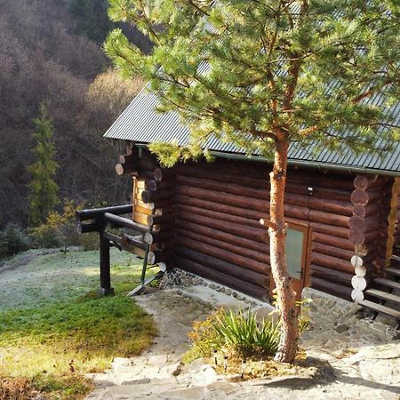 Bungalow In Mauntains With Chan Near The Forest Slavske Exterior foto