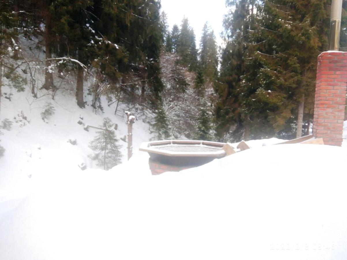 Bungalow In Mauntains With Chan Near The Forest Slavske Exterior foto
